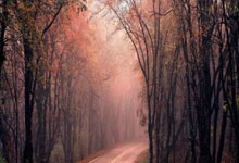 -马赛夜空升起新王星：班巴降临维罗德隆的野心棋局