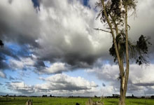 DB彩票入口-法国队爆冷惨败！欧洲豪门竟被美洲杯编外球员哈兰德一人击溃