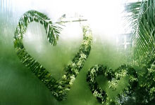 -奥地利队翻盘波兰队，王皓扛起全队