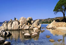 -马赛夜空升起新王星：班巴降临维罗德隆的野心棋局