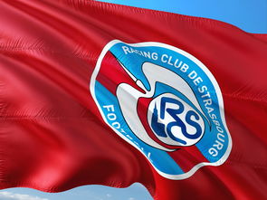 DB彩票入口-帕尔梅拉斯备战细节频出，球队积极调整状态