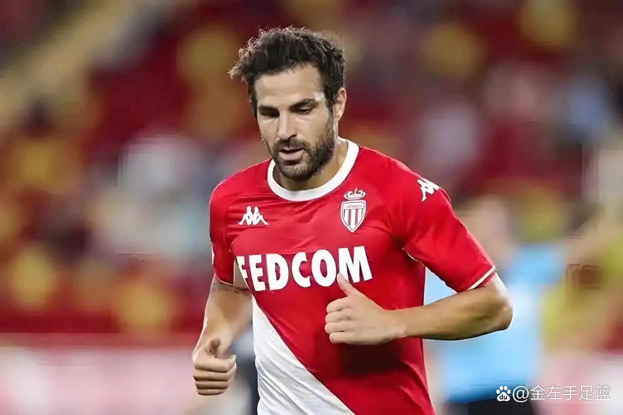 摩纳哥客场告捷，法甲战绩日益向好的简单介绍
