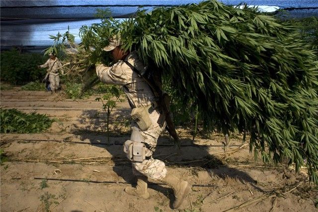 墨西哥联赛火拼早已开启激情 墨西哥联赛火拼早已开启激情